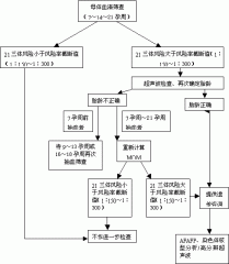 唐氏综合征
